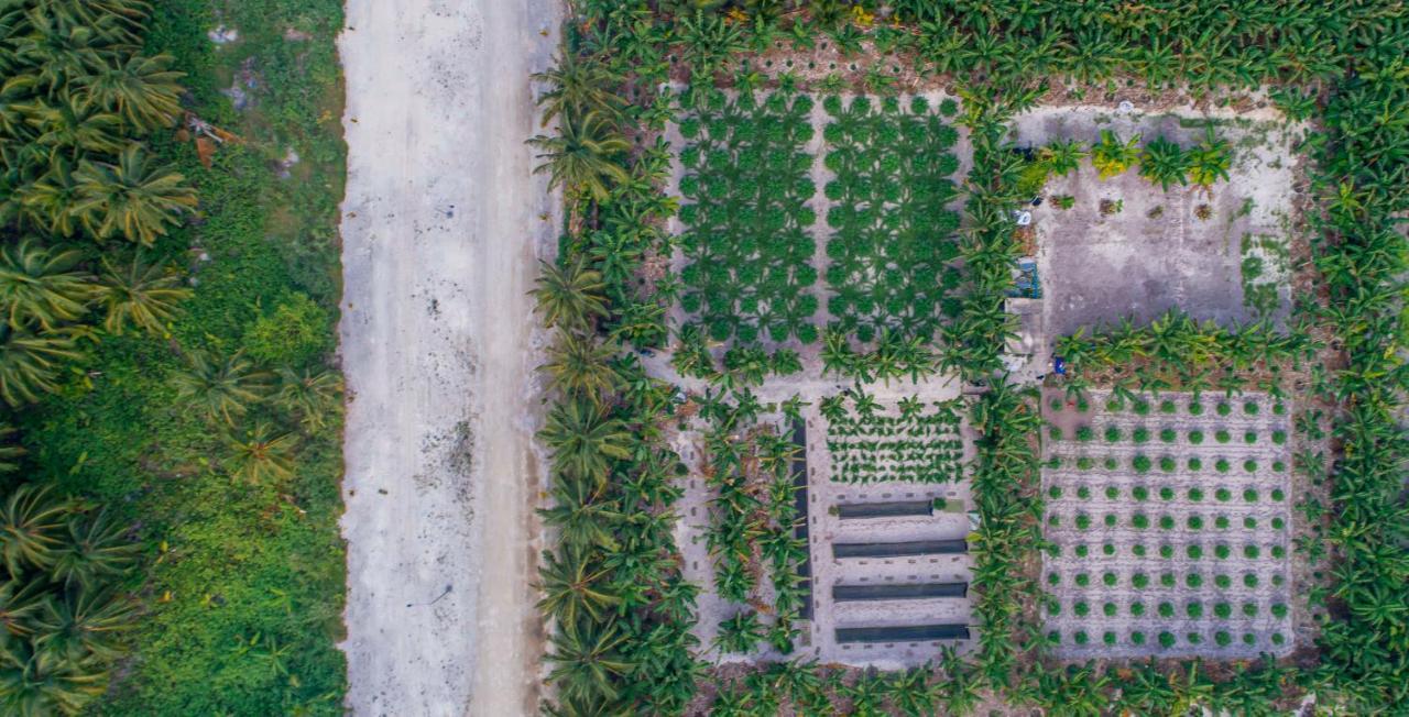 Sunview Residence Kaashidhoo Exterior foto